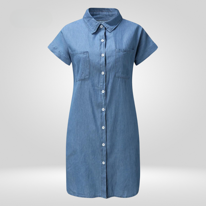 Callen denim dress